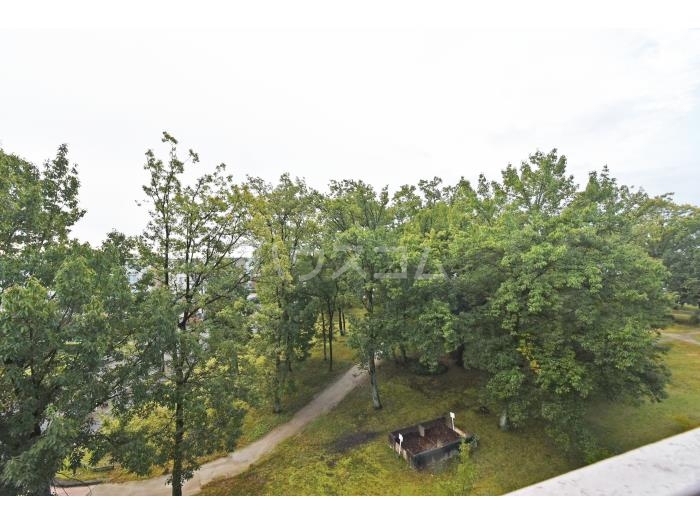 16/26 その他画像