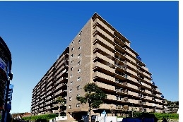 11/21 その他画像