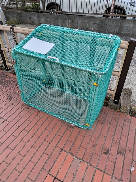 20/30 その他画像