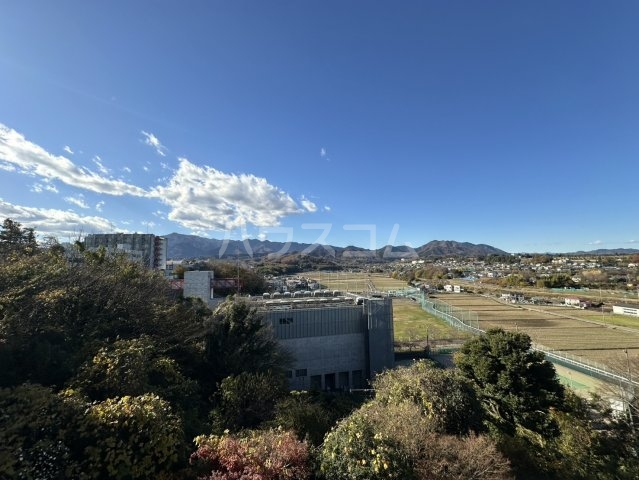 20/28 その他画像