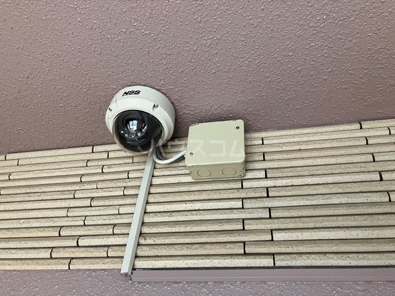 21/24 その他画像