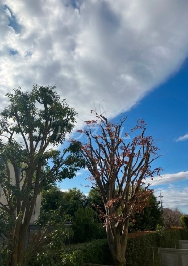 15/26 その他画像