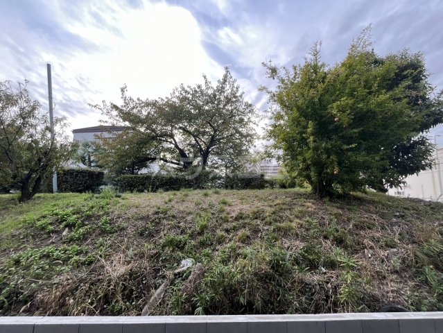 15/20 その他画像