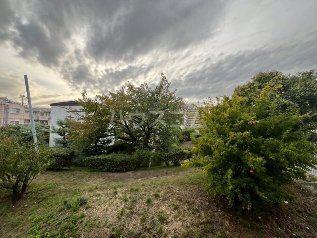 15/19 その他画像