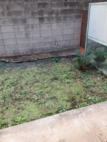 13/24 その他画像