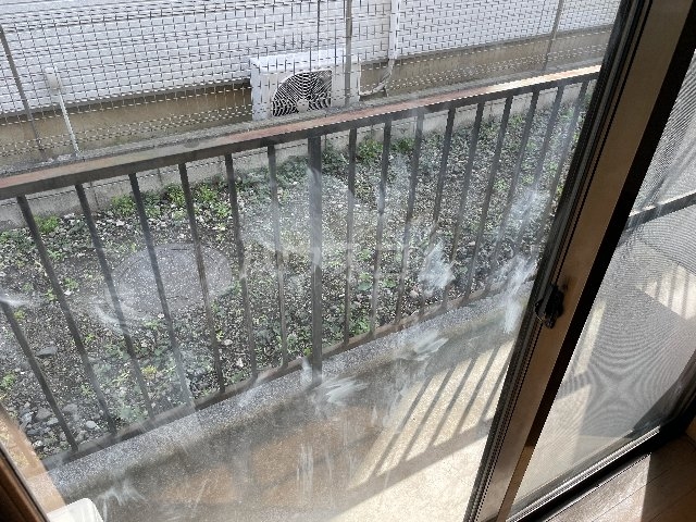 22/25 その他画像