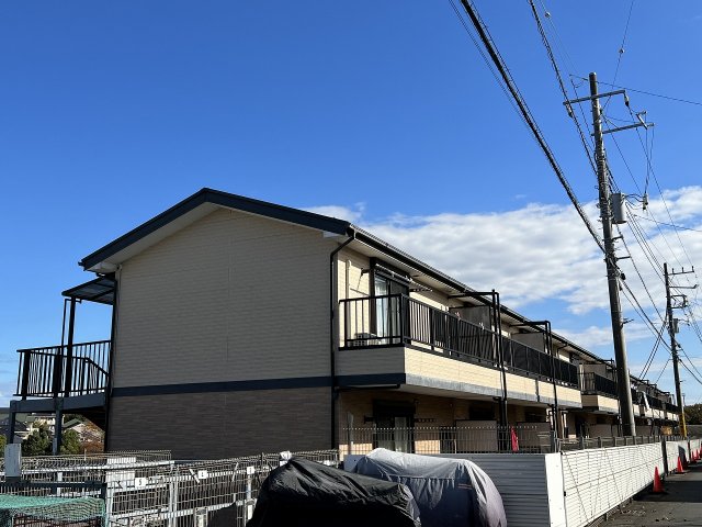 20/30 その他画像