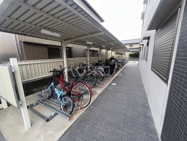 5/30 その他画像