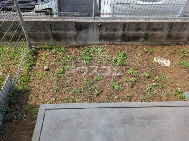 11/21 その他画像