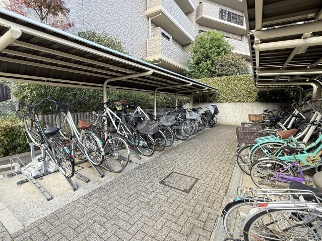 5/17 その他画像