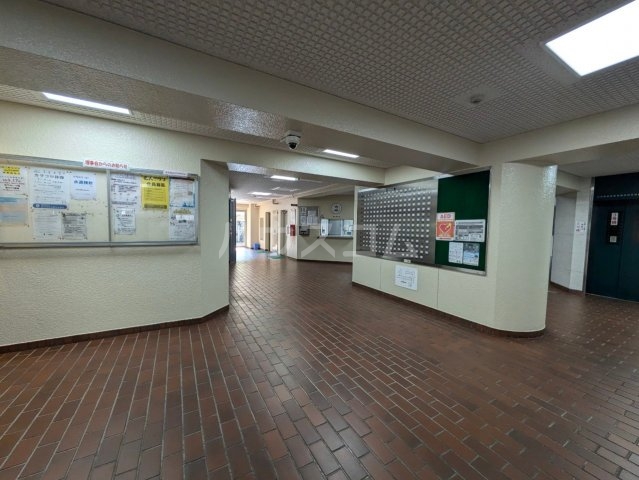 20/30 その他画像