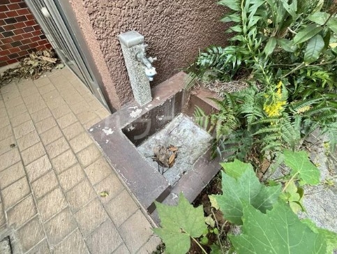 15/26 その他画像