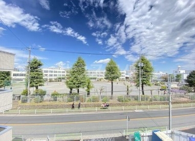 15/30 その他画像