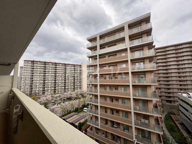 15/26 その他画像