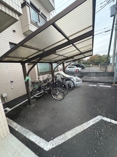 20/30 その他画像