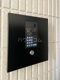 15/19 その他画像