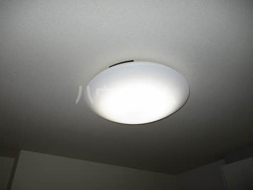 15/17 その他画像