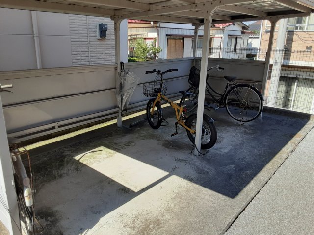 20/30 その他画像