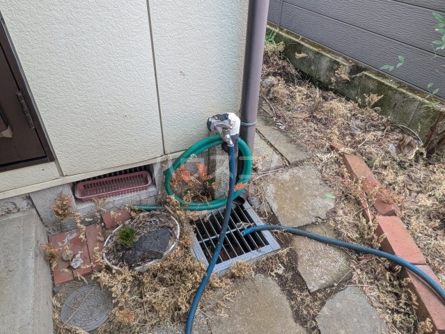 17/25 その他画像