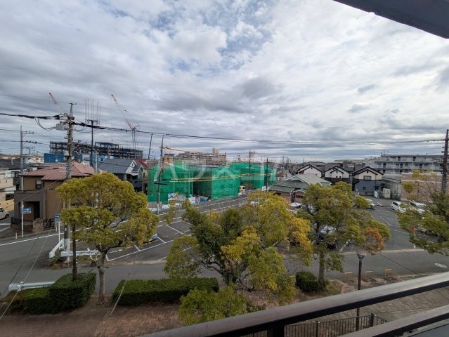 20/30 その他画像