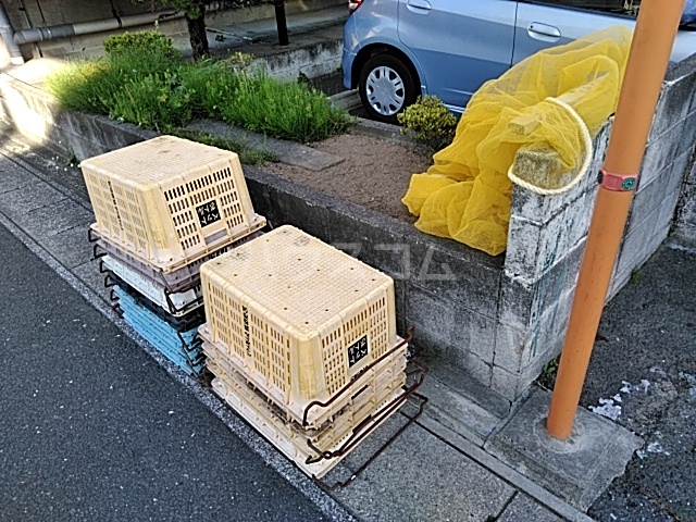 20/30 その他画像