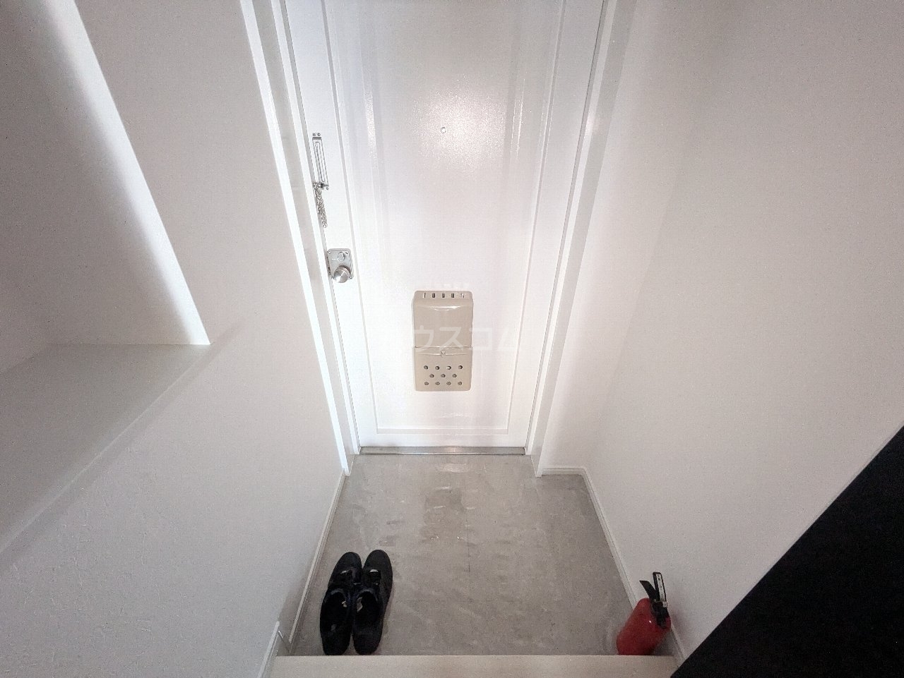 7/29 玄関