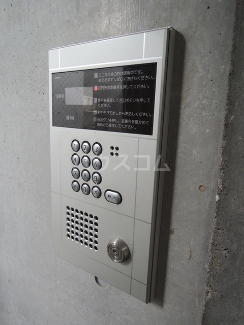 5/11 その他画像