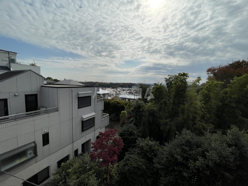 13/28 その他画像