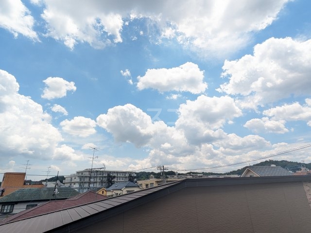 20/30 その他画像