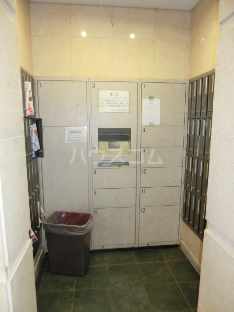 15/19 その他画像