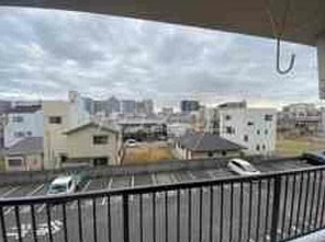 11/11 その他画像