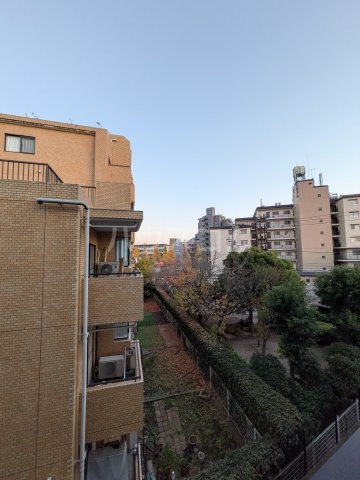 20/30 その他画像