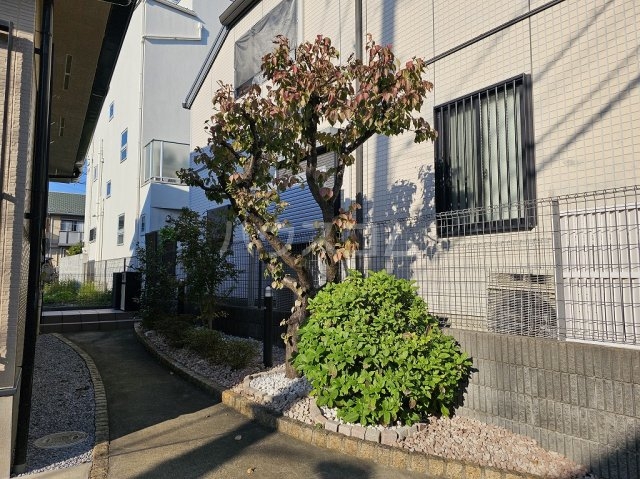 25/30 エントランス