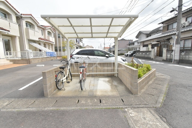 3/13 その他画像