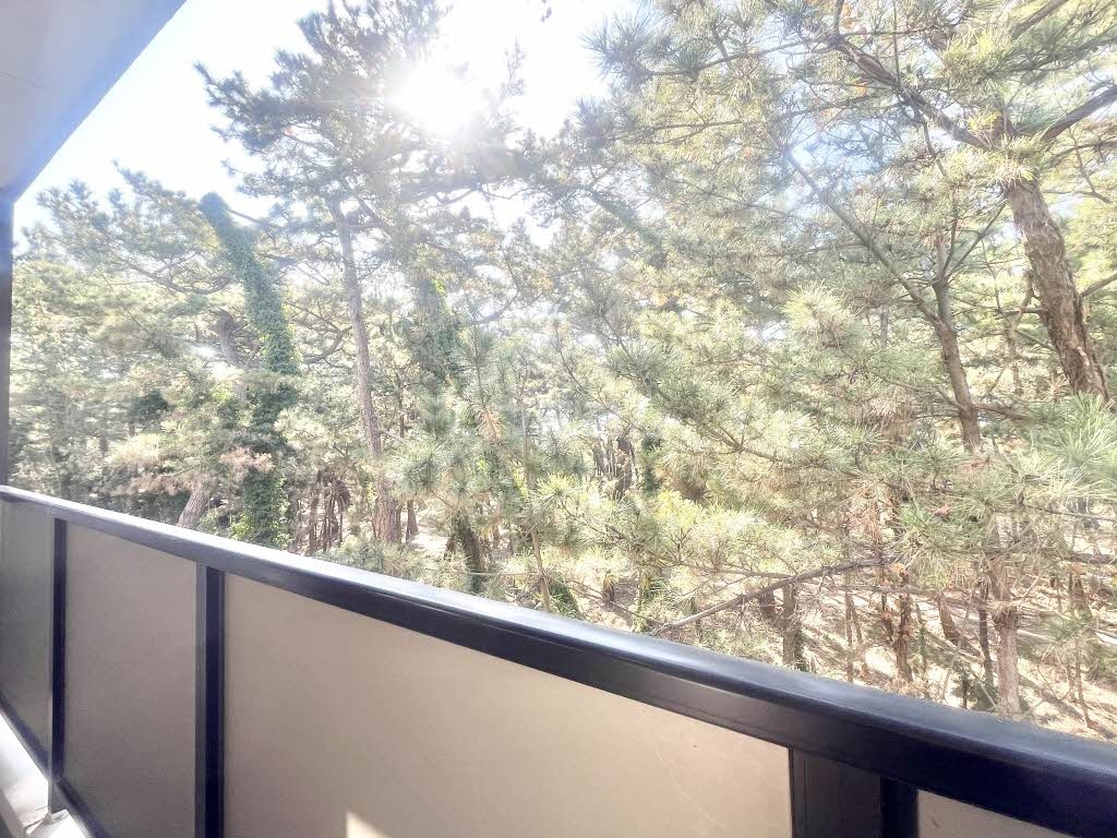 11/16 バルコニー