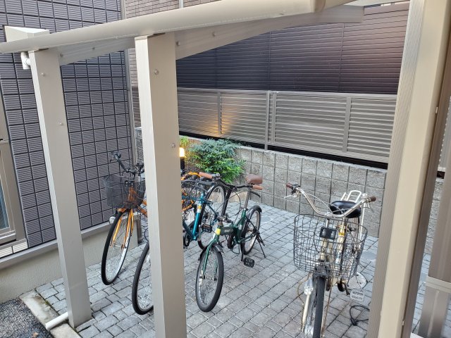 20/30 その他画像