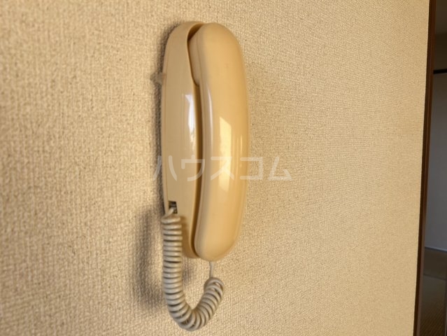 17/29 その他画像