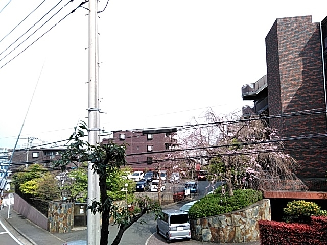 19/30 その他画像