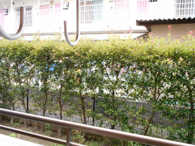 16/24 その他画像