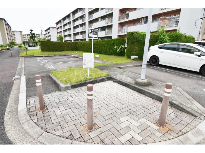 3/14 その他画像