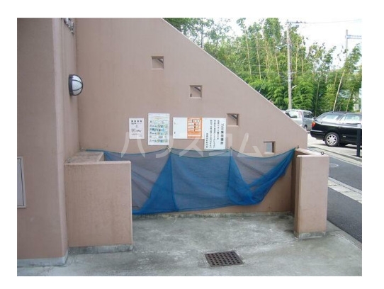 7/17 その他画像