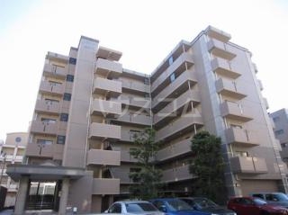 12/22 その他画像