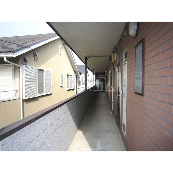 11/11 その他画像