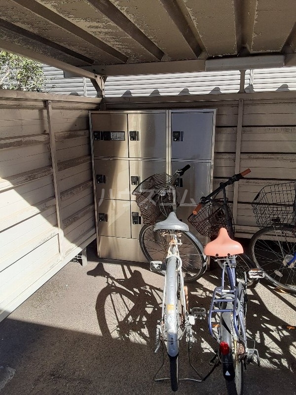 20/30 その他画像