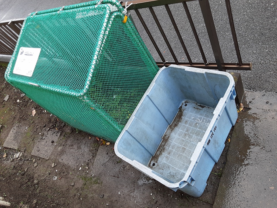 2/11 その他画像