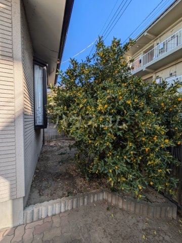 17/23 その他画像