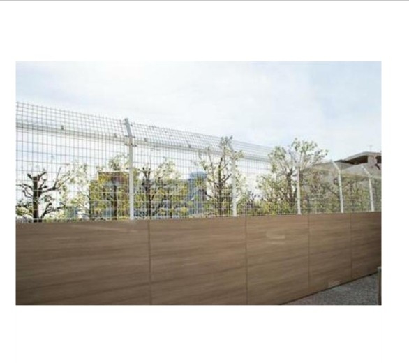 11/26 その他画像