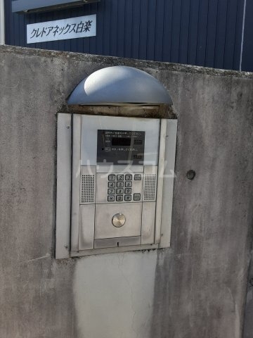 5/12 その他画像