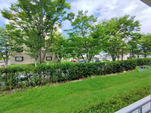 12/15 その他画像