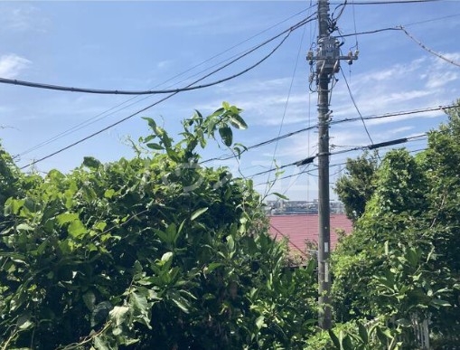 13/16 その他画像